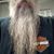 David Gabriel's profile image