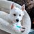 Rachelle Boggess's profile image