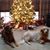 Teresa Cunningham's profile image