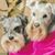 Mozella Watts's profile image