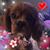 Susan Nalley's profile image