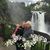 Melanie Brookshire's profile image