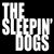 Sleepin-Dogs Street-Team's profile image