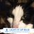 Carol Skusek's profile image