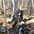 William Blasius's profile image