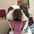 Sean Sciaccotta's profile image