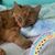 Kayla Pabst's profile image