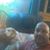 Sean McAlister's profile image