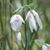 Lynda Garigen Hadley's profile image