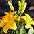 Ingrid Pfoertsch's profile image