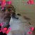 Roland Hudson's profile image