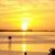 Cheli Critelli-White's profile image