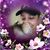 Irene Castellano's profile image