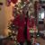 Brenda Bennett Moser's profile image