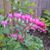 Paula Fruggiero Dochney's profile image