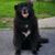 Catherine De Frasia's profile image