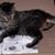 Barbara J Hollings's profile image
