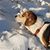 Heather Knuth Rudlaff's profile image