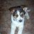 Lori Findley's profile image