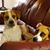 Melody Loudin's profile image