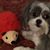 Vonda Skinner Skelton's profile image