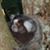 Laurent Drouhin's profile image