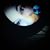 Francesca Romani's profile image
