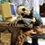 Sandra Watson's profile image