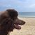 Sandie Sackie Huntt's profile image