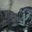Nancy Thompson's profile image