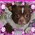 Cheryl Silva's profile image