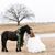 Sandra Wrightenberry's profile image