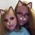 Suzanna Jane Currie's profile image