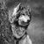 Anthony Ghdez's profile image