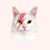 Nick Savvides Desavvi's profile image