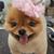 Teri Hill's profile image