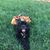Karen Welker Leckich's profile image