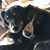 Michelle Sileo Smith's profile image