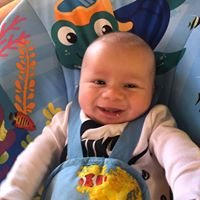 Nicole Beck's profile image