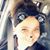 Ginger Kelly's profile image