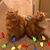 Heather Crowley's profile image