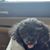 Robin Reasbeck's profile image