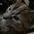 Sandy Mattinglymcafee's profile image