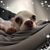Debra McCrea Miller's profile image