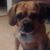 Lynn Graniti's profile image