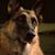Michele Thielke's profile image