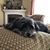 Richard Pamela Mammosser Bradford's profile image