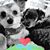 Stacey A Cooper's profile image