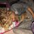 Kimberly Ann VandenBerg's profile image