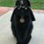Warren Ledbetter's profile image